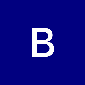 Profile photo of bernardojr